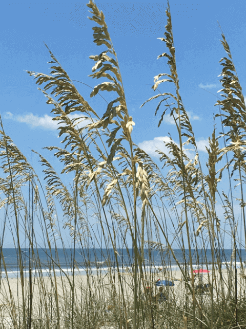 10 Top Hidden-Gem Beaches to Spend Summer’s Final Days