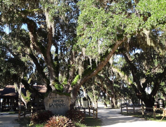 Palm Coast Named ‘Tree City USA’ For 12th Straight Year By Arbor Day Foundation