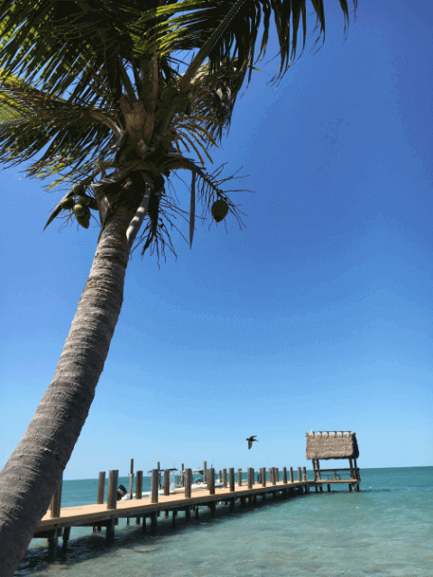 Best Tiki Bar Spots to Visit in the Florida Keys